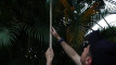 Pratinjau video