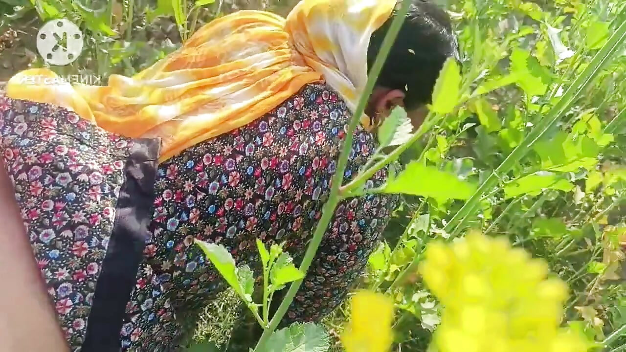 Une Bhabhi Du Village Desi Se Fait Baiser Par Son Beau-frère Dans La Nature