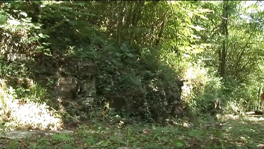 Zralý penis v sexy drobné v lese