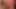 Passionate brunette slut ravishes gigantic penis