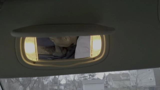 Head in car