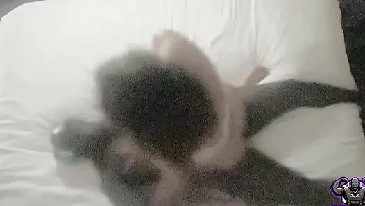 Stacxxxs präsentiert nur eine Nacht in Sammiesworld