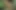 Petershentai Intense Sex Hot Big Ass Tasty Sweet Hot Ass Doggy Style Swallowing Cum Sissy Whore Pregnant with Cum
