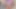 Black femboy twink Ezra_kyle25 shakes his ass in thong for onlyfans