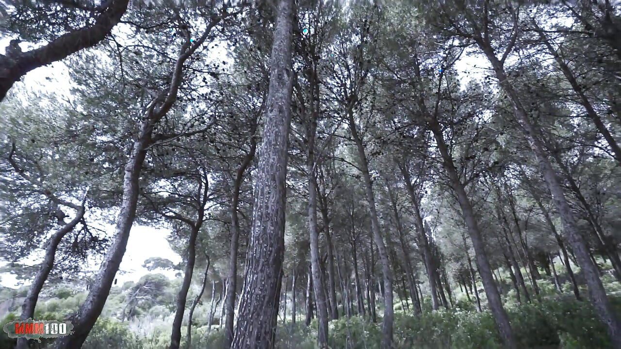 Η Γαλλίδα ξανθιά Nicky Wayne & ο Max Casanova Επεισόδιο 11 - Πρωκτική πίπα, χύσιμο