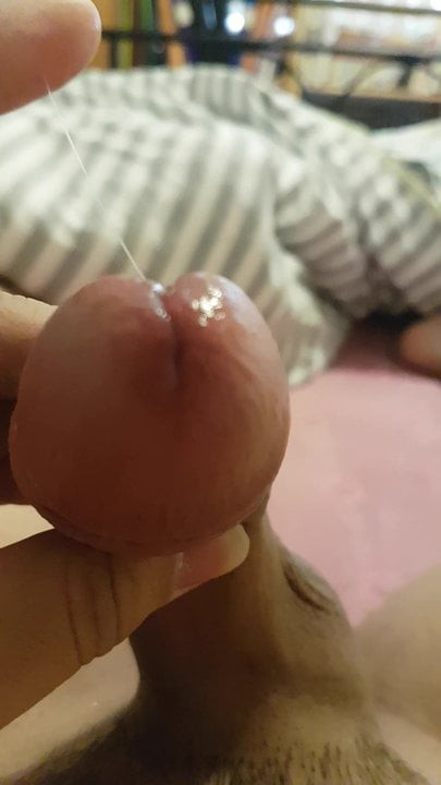 Precum play