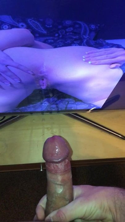 Tribute fun2
