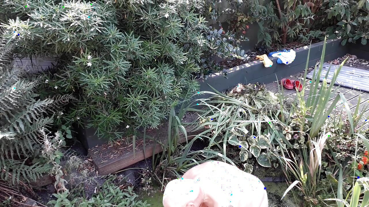 The life of a naked handyman, called next door to clean out the pond
