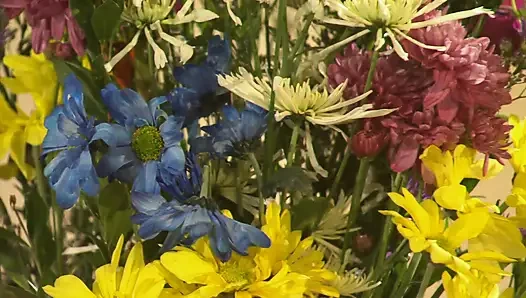 Hot blonde babe with natural big tits gets both holes fucked