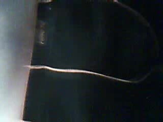 ich in boxer