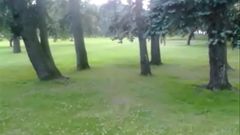 Невидимий трамплін на траві та деревах