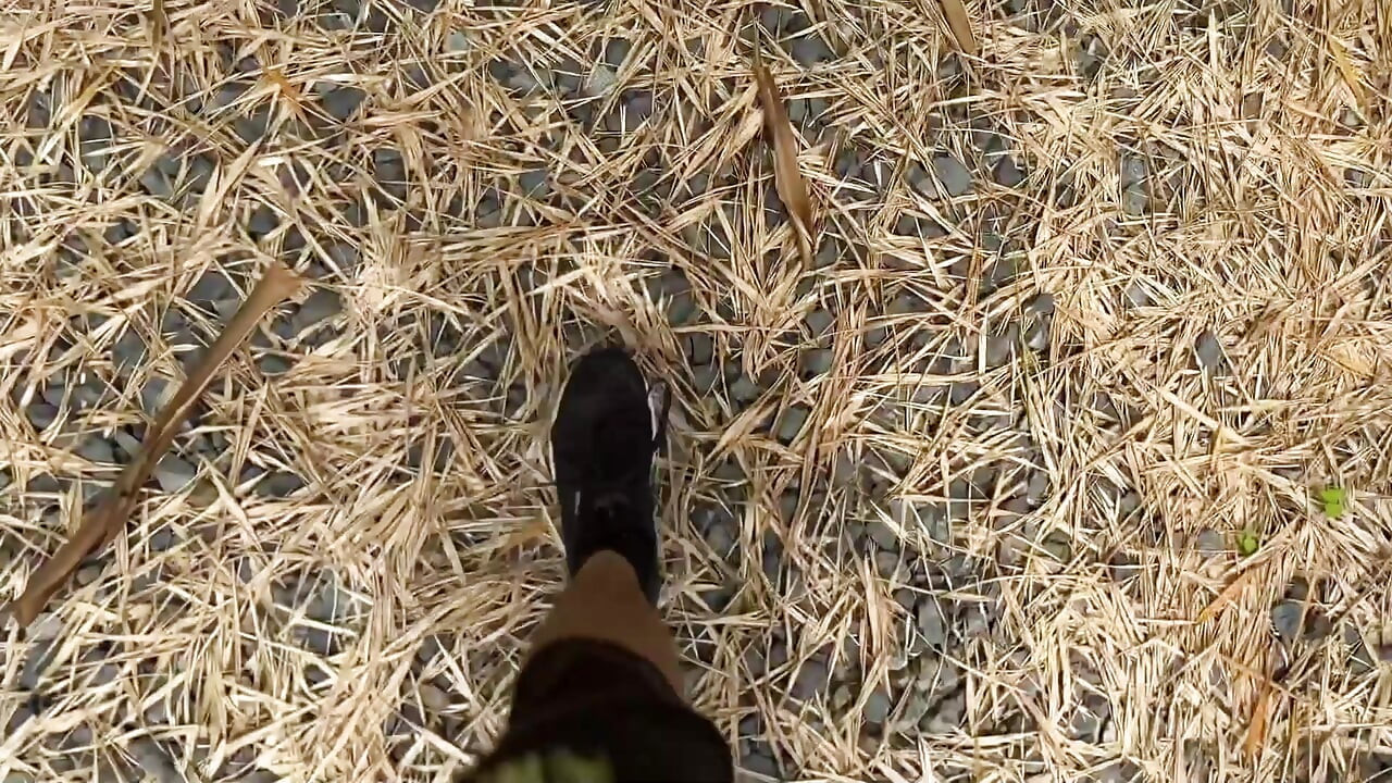 I'm going on a trip and get fucked by a stranger in the forest!
