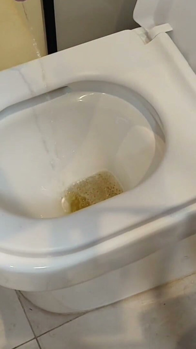 PEE DESPERATION IN COUPLE DIRTY TOILET | Clip 1