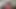 One Hot Tattooed Slut One Big Dick One Huge Cream Pie One Crazy Messy Scene I Hope I Didn't Get Her Pregnant Was so Much Cum