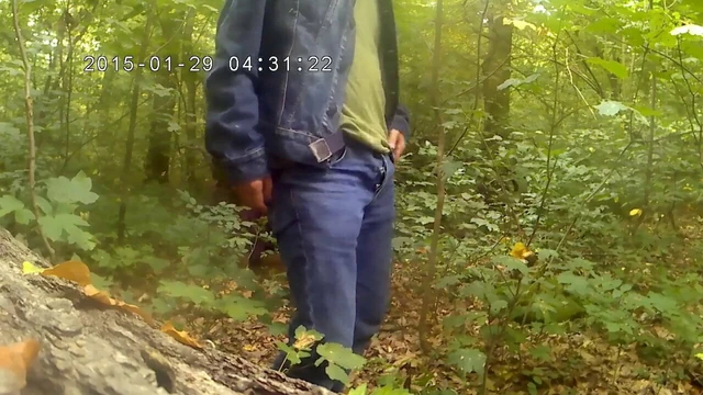 Hot in the forrest
