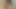 Thai Hooker blowjob