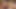 アジア人がベッドで毛深いサスカッチをしゃぶる