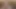Pawg Edging Lucky Fan Ends in Disaster - Accidental Creampie!