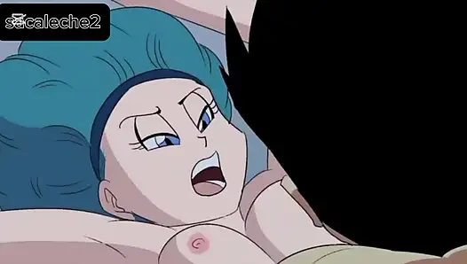 Vegeta bulma in der cacsula-corporation