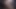 tittencanavar 064