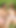 Jaw-dropping moment from "Sizzling hot lesbian teens take advantage of the garden to make out and eat pussy"