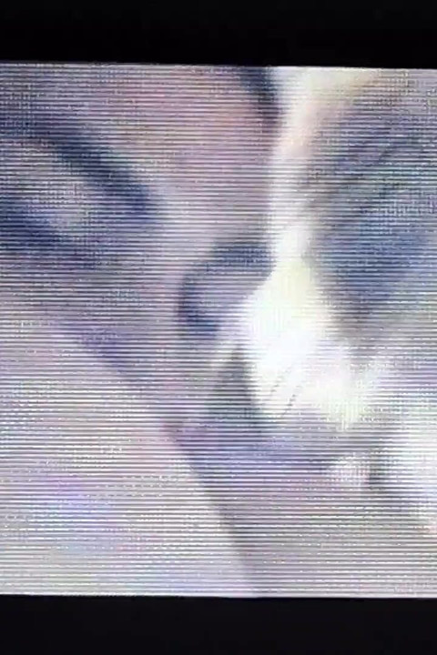 흑인 대물 자지와 섹스하는 핫한 금발