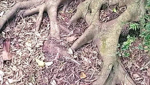 Seks di luar ruangan