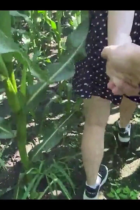 Knullar en tjej i ett majsfält - utomhussex