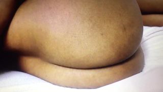 Африканская миниатюрная толстушка