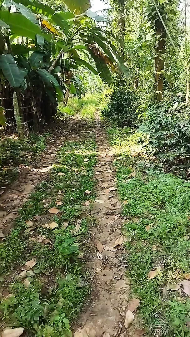 Naked Run Part 5. Funny sex video, man up cock out, sexxxxxx