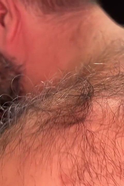 Bear on Bear