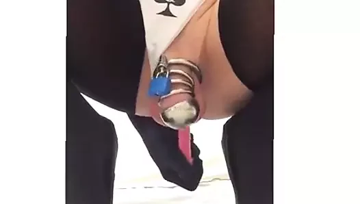 QOS Alexa milking