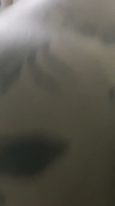 I give my brother-in-law a deep blowjob and then he fucks my vagina and my ass and cums deep in my mouth I'm married and very sl | Clip 1