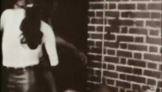 Petualangan Bajingan