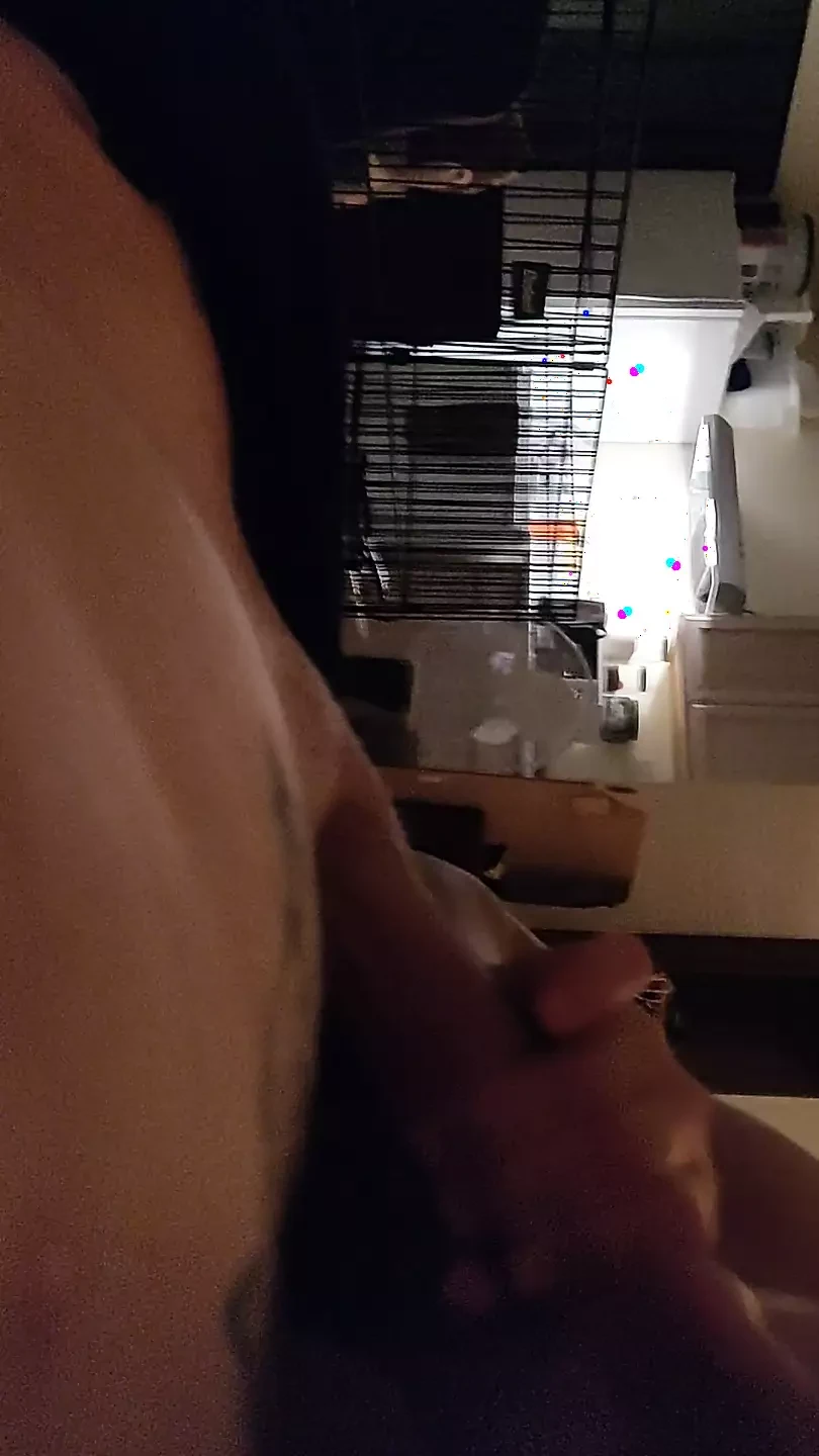 Stunning MILF Amazing blowjob