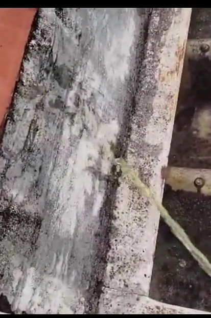 Nakon teretane, pišanje na susjedovom krovu