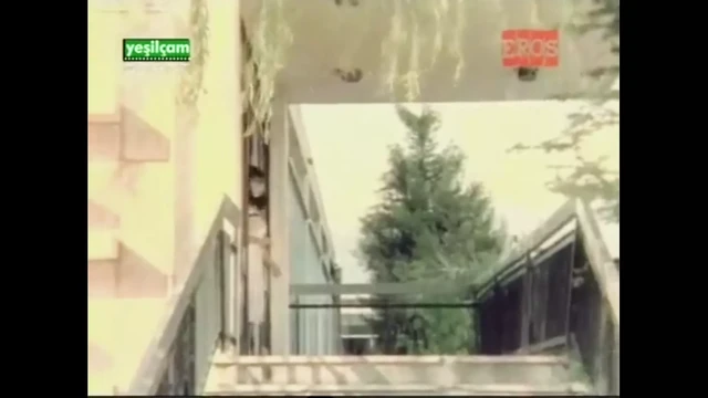 Arabic Sex Part 3
