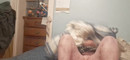 Pratinjau video