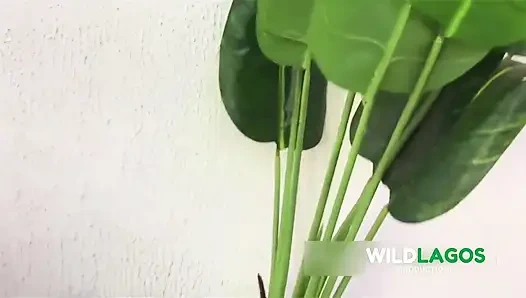 Cewek semok afrika ngentot kontol besar pria kulit hitam sambil menjerit