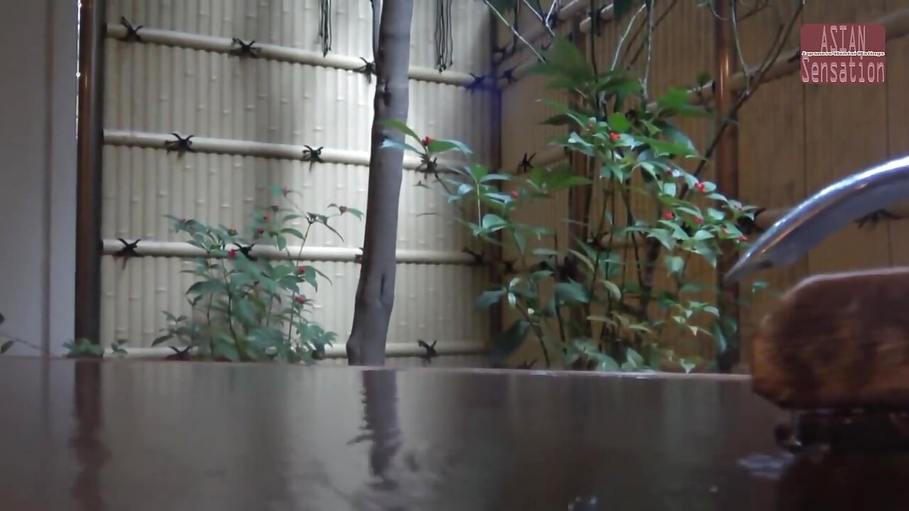 日歸溫泉之旅 - 熟女的淫蕩旅程 - 第1集