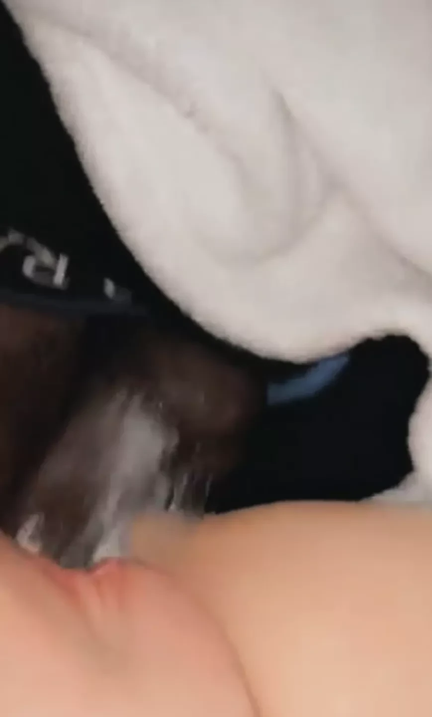 Cream pie