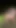 Sissy bitch in woods