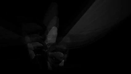 erotic music video wings