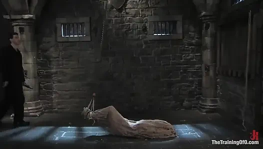 Das sklaventraining von Bobbi Starr: Tag 2