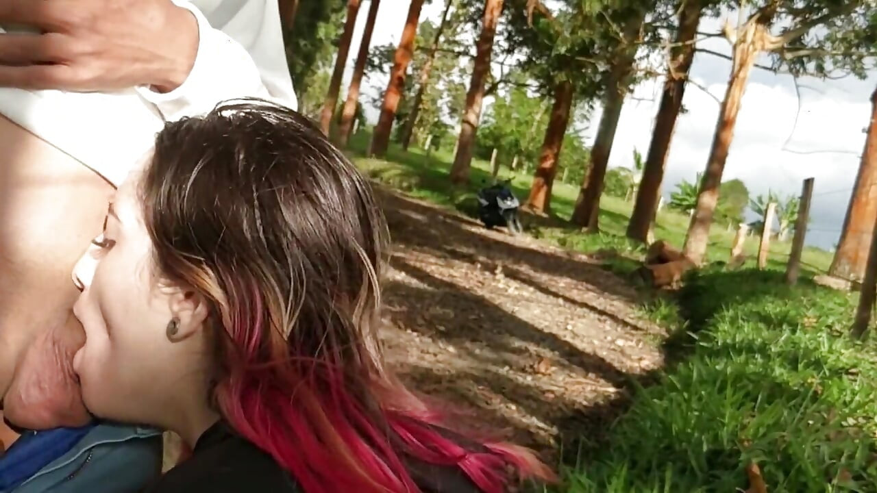 THE PICNIC ARRIVES AND YOU CRAVE OUTDOOR FUCKING