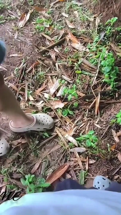 Memorable moment from "Beautiful girl I met in park outdoor blowjob it was her kinky fun to BJ in public"