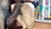 Video ön izlemesi