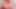 Sexy Trans Latina with Big Boobs Estela Duarte Seeks Solo Pleasure