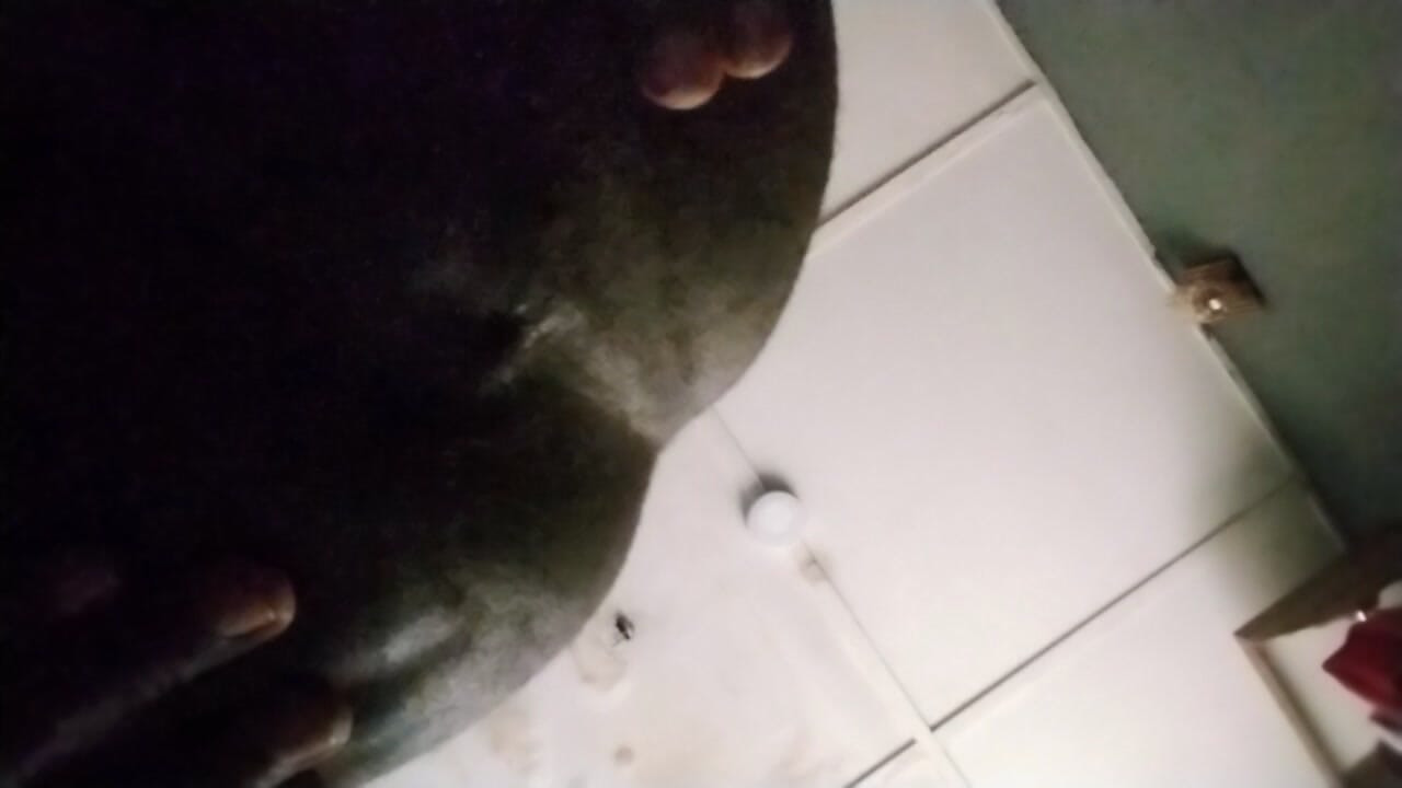 ควยนักปราบปราม