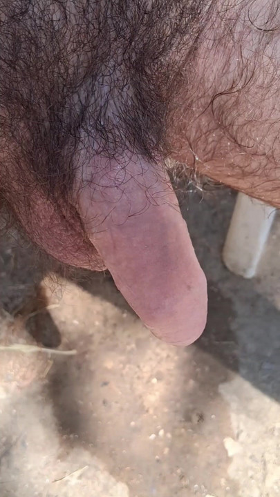 Nice hairy penis getting hard
